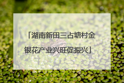 湖南新田三占塘村金银花产业兴旺促振兴